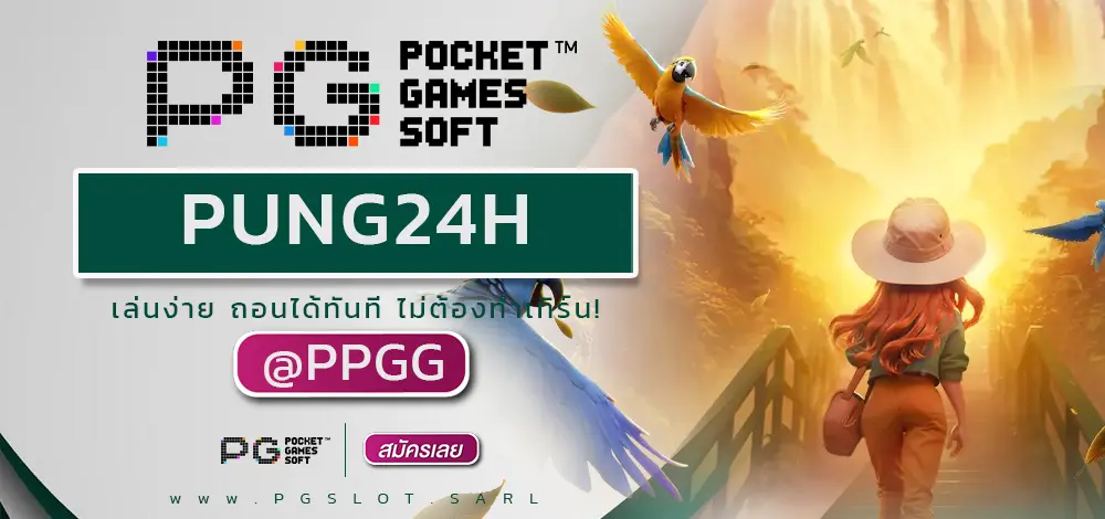 PUNG24H