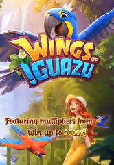 Wings-of-Iguazu